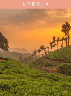 Kovalam - Sagara Beach Resort Image