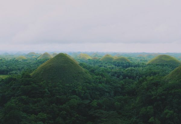 Mesmerizing hills, halal friendly Bohol  - Image